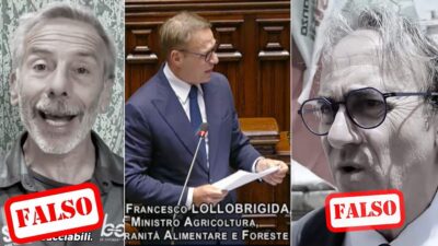 caccia lollobrigida giovanni storti bonelli