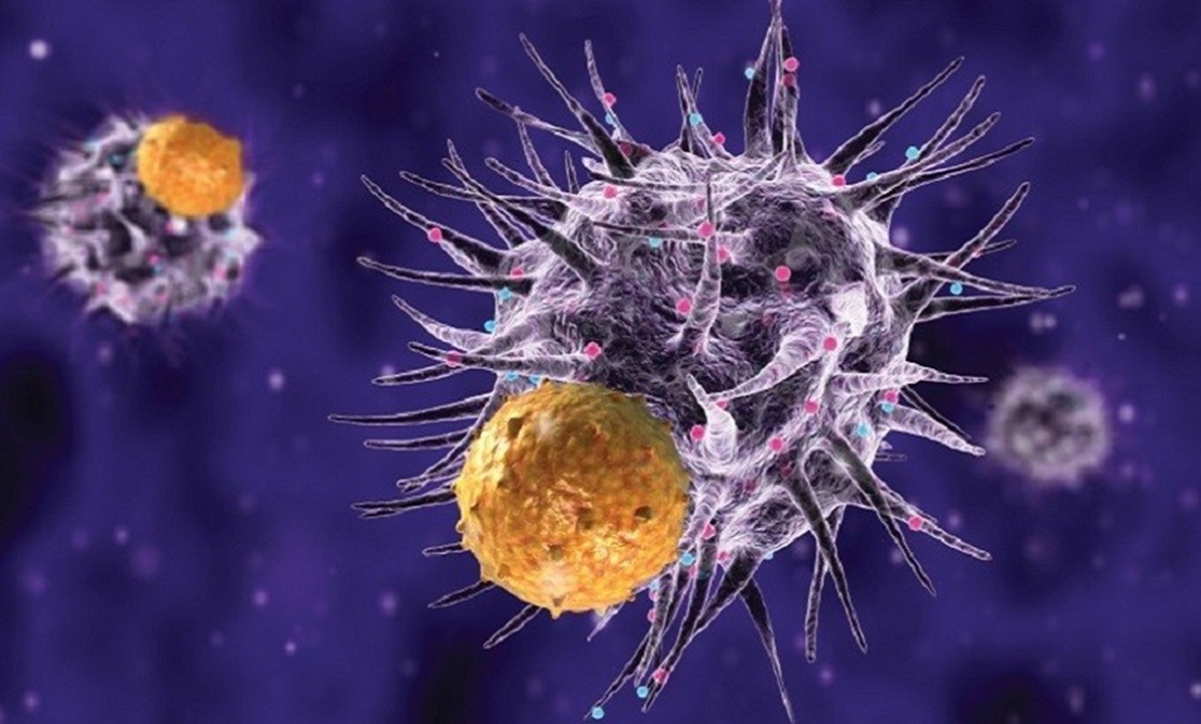 cancro nuove terapie anticorpi