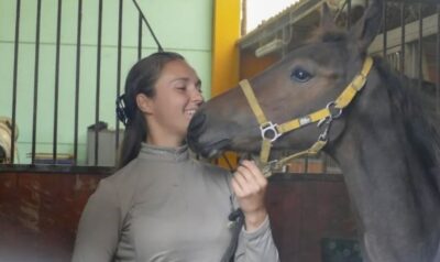 cavalli cavallo cascina