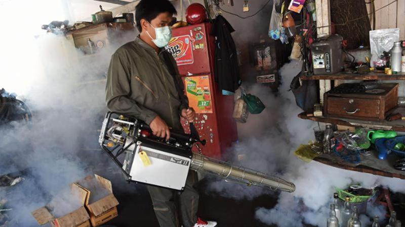 chikungunya epidemia virus sintomi paziente zero focolaio