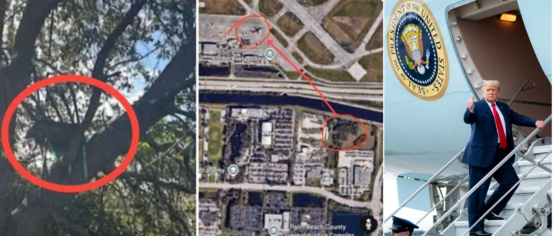 donald trump rischio attentato palm beach