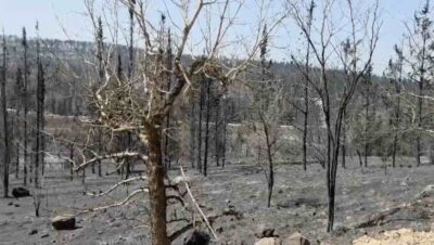 Incendio Gerusalemme