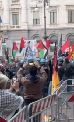 manganellate pro pal